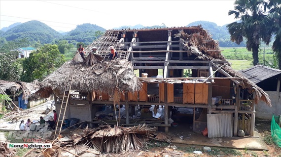 Tuyên Quang: Lốc xoáy khiến 55 căn nhà tốc mái