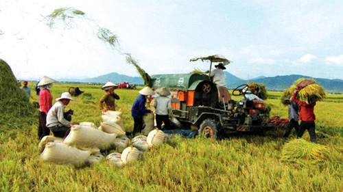 Hiến kế tái cơ cấu nông nghiệp