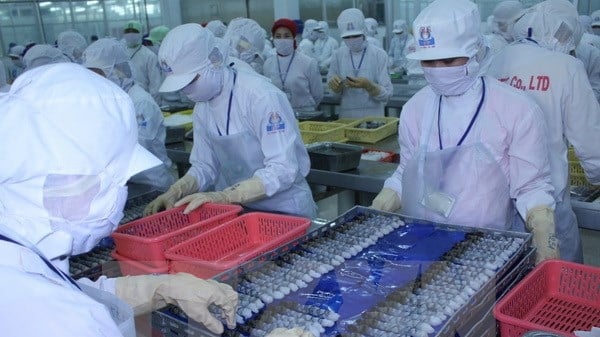 Cơ hội việc làm cho 10.000 lao động tại các nhà máy thủy sản Cà Mau