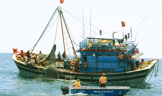 Quảng Bình 'căng mình' ngăn chặn tình trạng đánh bắt thủy sản trái phép