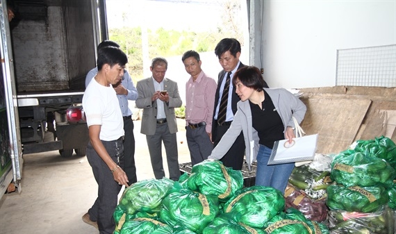 40 tấn nông sản Đà Lạt ra Trường Sa gửi tặng quân dân dịp tết
