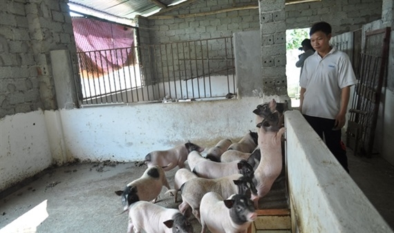 Từ câu chuyện nhiễm sán dây lợn tại trường mầm non Bắc Ninh đến quan niệm sai lầm về thực phẩm sạch