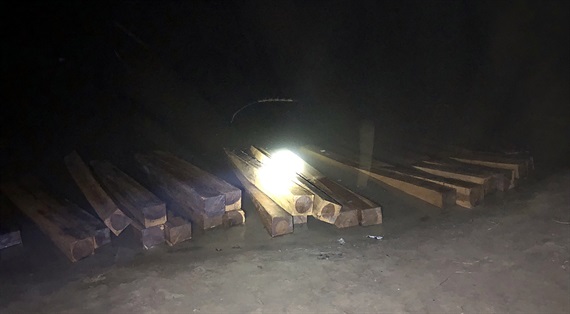 Phát hiện đối tượng vận chuyển 50 phách gỗ lậu trên sông Vu Gia