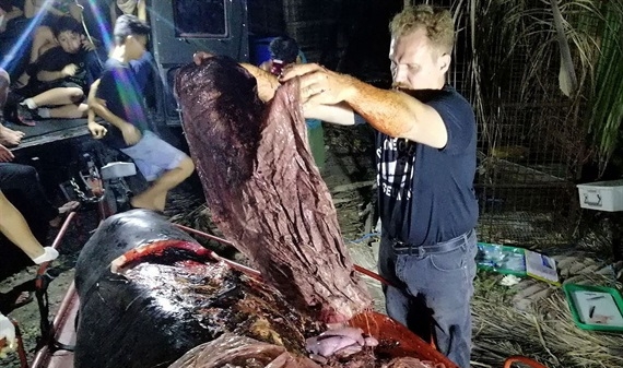 Sốc với hình ảnh cá voi chết vì nuốt phải 22 kg rác nhựa