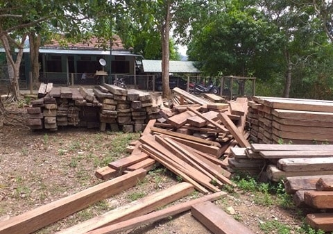Quảng Bình: Gần 5m3 gỗ lậu bị phát hiện và tịch thu trong trụ sở UBND xã