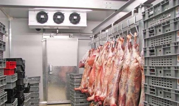 Cấp đông thịt lợn: Doanh nghiệp gặp khó về kho lạnh
