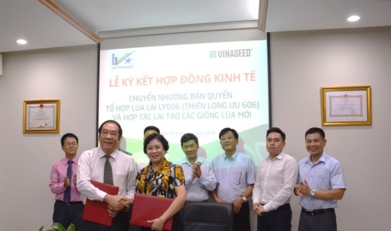 Vinaseed Group ký kết hợp đồng chuyển nhượng bản quyền tổ hợp lúa lai LY006