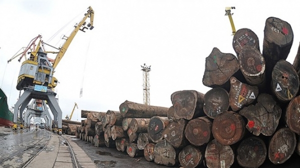Mỹ muốn dẫn đầu về cung cấp gỗ nguyên liệu cho Việt Nam