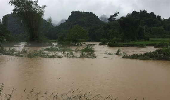 Cao Bằng: Mưa lớn kéo dài, ngập lụt tại nhiều nơi
