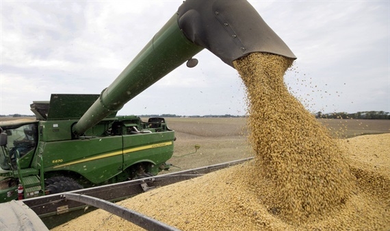 Trung Quốc tuyên bố dừng mua nông sản Mỹ