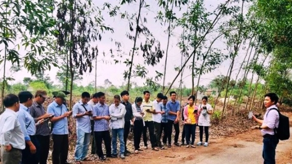 Thừa Thiên - Huế: Triển khai hệ thống giám sát và theo dõi diễn biến rừng