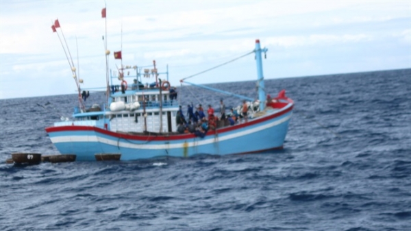 Bình Định: Nhiều tàu cá gặp nạn, 1 thuyền viên mất tích
