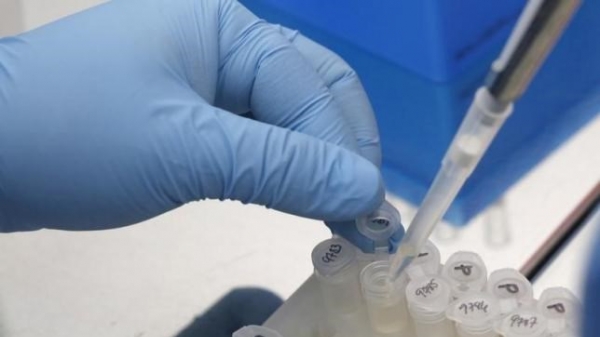 Nghiên cứu, phát triển vắcxin phòng virus Zika đạt bước tiến mới