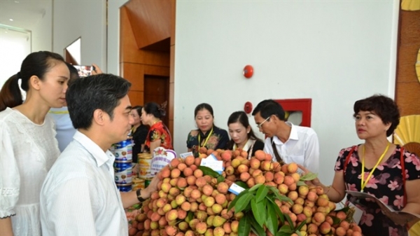 Xúc tiến xuất khẩu nông sản Việt Nam sang Trung Quốc