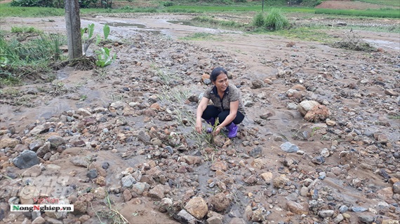 Thái Nguyên: Doanh nghiệp lấy than, dân hứng bùn thải
