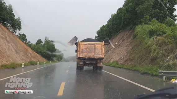 Thái Nguyên: Bê tông nhựa được vận chuyển dưới trời mưa đưa đi thảm đường