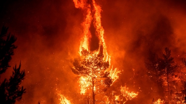 Ảnh trong tuần: Cháy rừng khủng khiếp trên đảo Hy Lạp