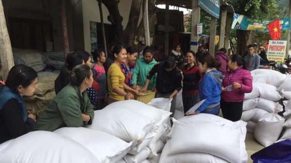 Thủ tướng quyết định xuất gạo dự trữ hỗ trợ người dân vùng lũ