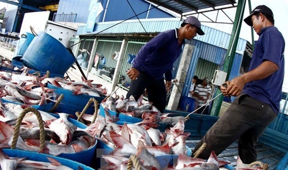 EU rút thẻ vàng với thủy sản Việt Nam