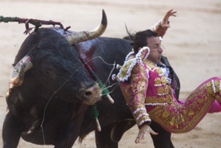 51 người bị thương trong lễ hội rượt bò tót ở Tây Ban Nha