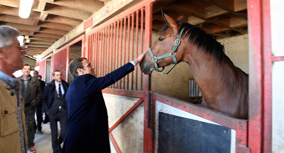 Tổng thống Pháp tặng ngựa cho Tập Cận Bình