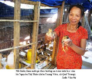 Quảng Nam: Xây dựng 12 mô hình chăn nuôi gà an toàn sinh học