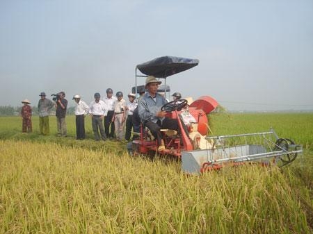 Đà Nẵng: Đưa giống lúa mới RNT3 vào SX