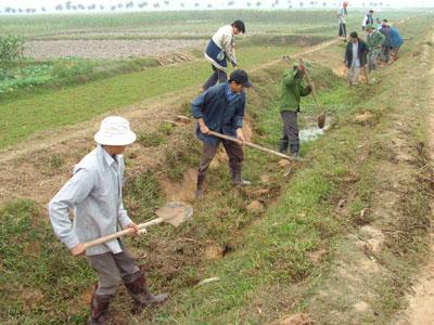 Hà Nội thực hiện dồn điền đổi thửa trên 41.000 ha