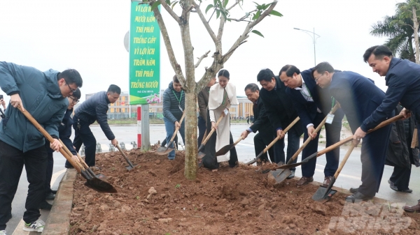 Học viện Nông nghiệp Việt Nam phấn đấu trồng mới 10.000 cây xanh trong năm 2024