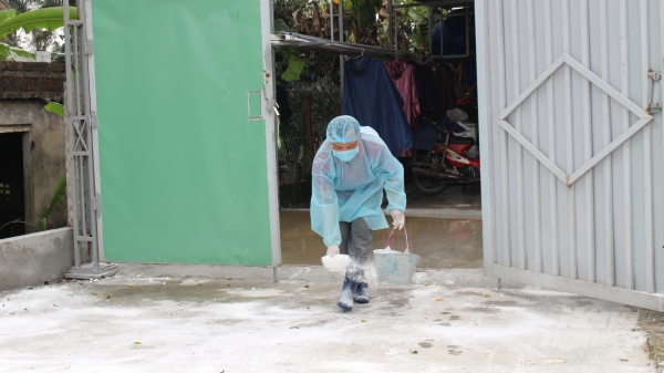 Nam Định: Rốt ráo chống dịch bệnh gia súc, gia cầm