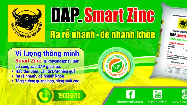Đầu Trâu DAP - Smart Zinc là gì?