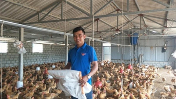 Những doanh nhân 9X đưa nông nghiệp Hà Tĩnh 'cất cánh'