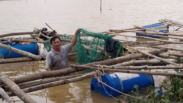 Quảng Trị: Hàng trăm tấn tôm, cá trôi theo dòng lũ