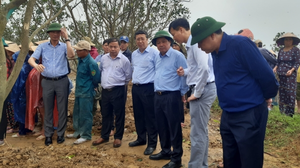 Hỗ trợ người trồng thanh trà ở Thừa Thiên- Huế khắc phục thiệt hại
