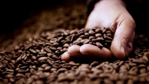 Đột phá trong phát triển hạt cà phê decaf tự nhiên