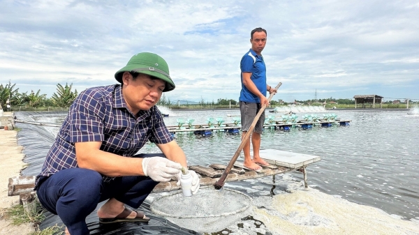 Disease prevention in aquaculture turns for the better: Disease in shrimp decreases by 44%