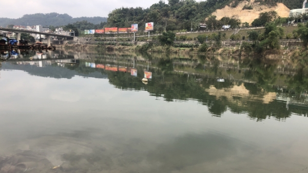Sông Hồng có màu lạ: Không phải do ô nhiễm nước