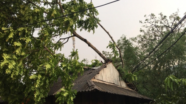 Lai Châu: 6 trận mưa đá liên tiếp gây thiệt hại hàng chục tỷ đồng