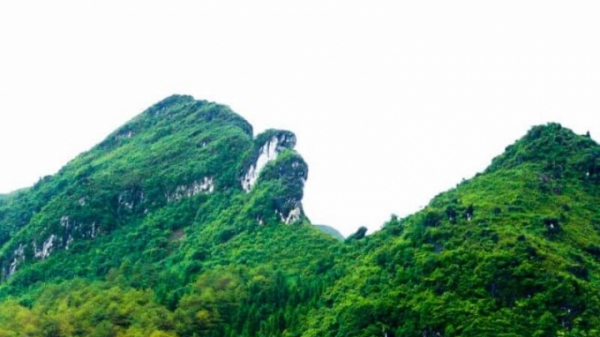 Sapa: Chuyển núi Hàm Rồng thành rừng đặc dụng