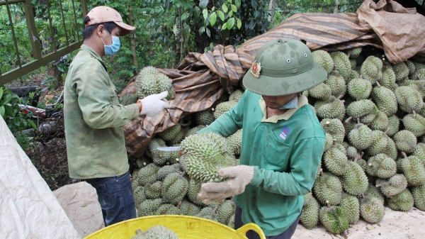 UBND huyện Krông Búk cho phép mua, bán nông sản hoạt động trở lại