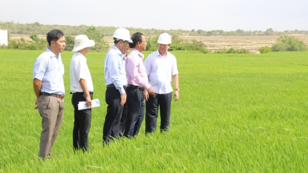 Ninh Thuận giữ vững chất lượng các tiêu chí nông thôn mới