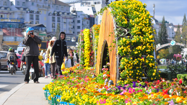 Sau mỗi kỳ festival, hoa Đà Lạt phát triển mạnh về diện tích, xuất khẩu
