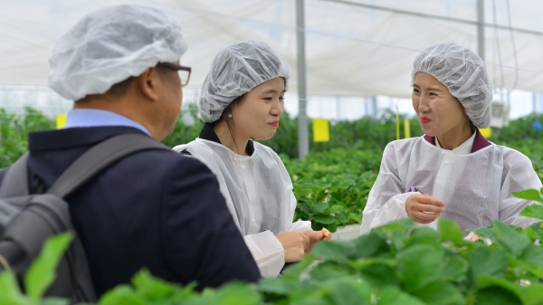 Hàn Quốc viện trợ 3 triệu USD phát triển nông nghiệp thông minh ở Đà Lạt