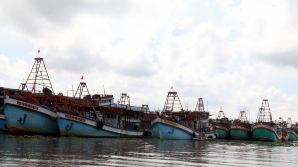 Kiên Giang: Trên 400 tàu vi phạm khai thác hải sản vùng biển nước ngoài