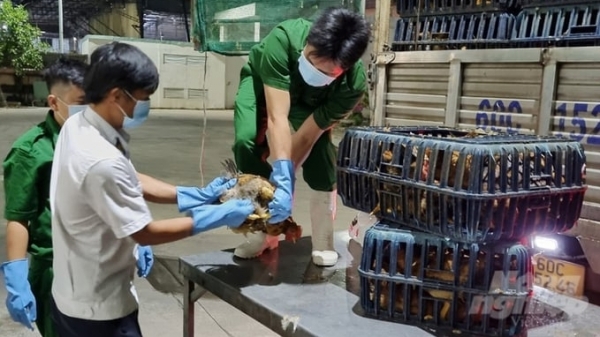 A warning about the risk of avian influenza virus A/H7N9