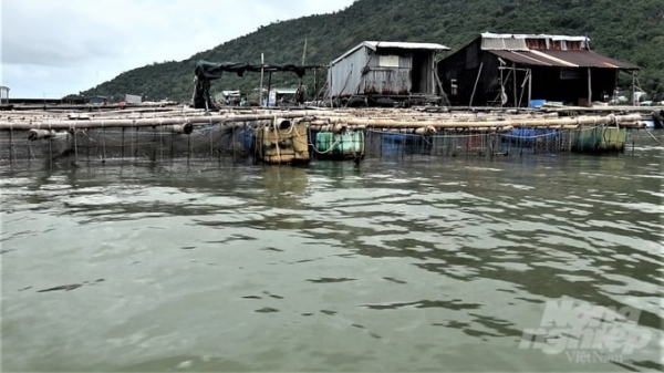 Kien Giang hopes Norway will support industrial marine farming