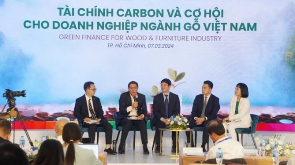 Vietnamese wood businesses take advantage of the carbon credit market
