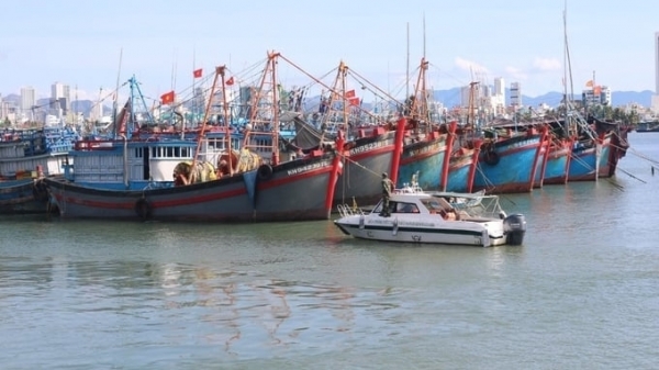 Khanh Hoa tightens management of fishing vessels