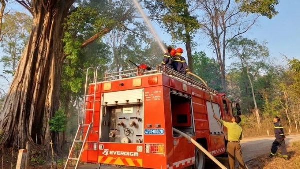 The Prime Minister strengthened measures to prevent forest fires