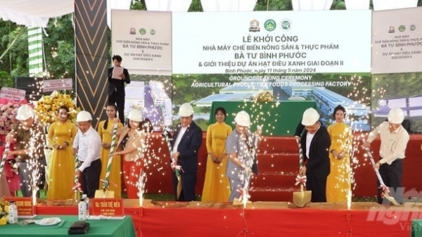 Commencement of a $ 6.5 million cashew processing plant